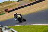 Black Bikes